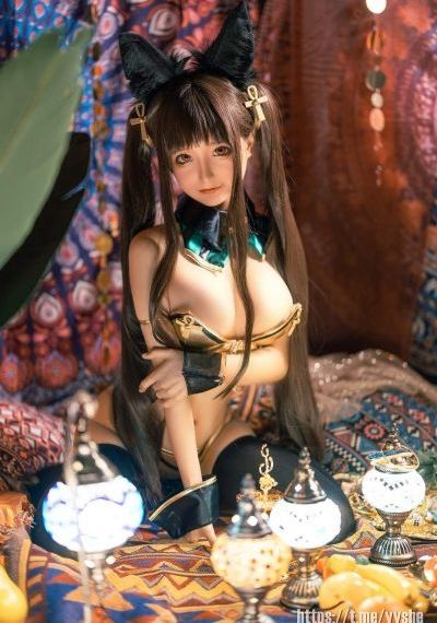 烈火军校电视剧免费版