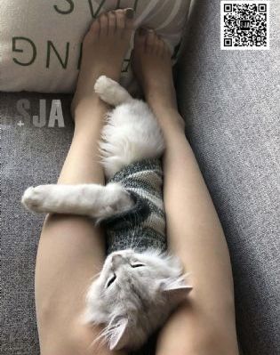 韩国国产在线观看