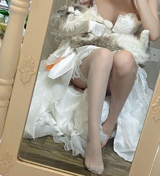 快递单号查询自动查询