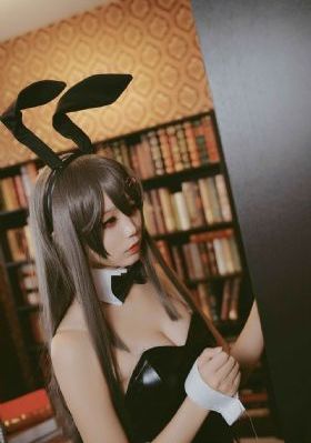 张彬彬个人资料
