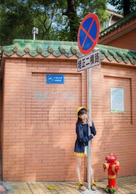 外乡人电视剧在线观看免费全集