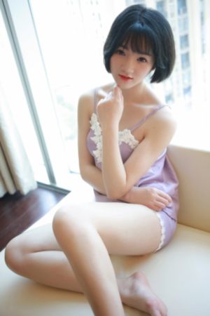 女士的法则电视剧免费观看