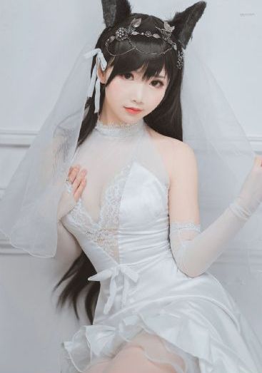 百合情韵