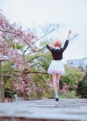 电视剧《春花子》免费播放