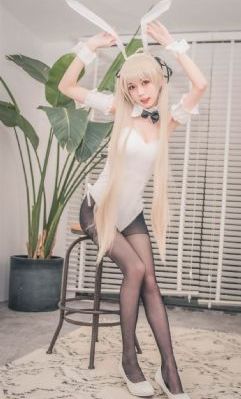 成人免费在线观看